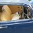 HighwayCruising